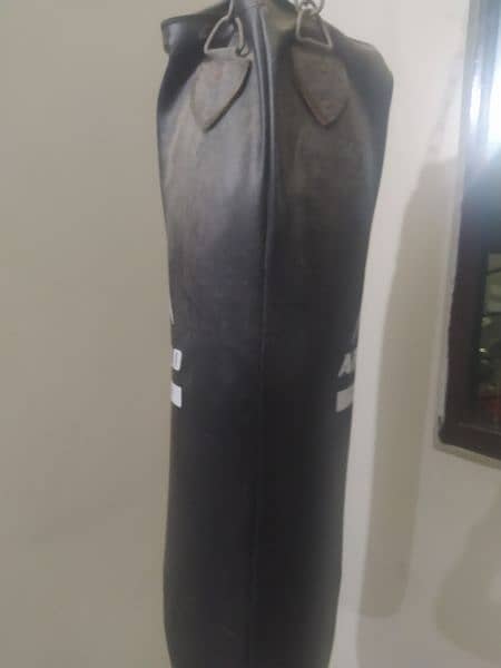 Apollo punching bag with chain 2