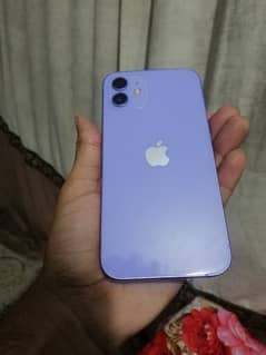 Iphone 12 Purple 90BH Waterpack 64Gb Jv
