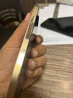 iphone 12pro max dual Pta approved