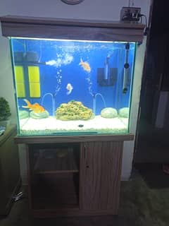 Aquarium/fish