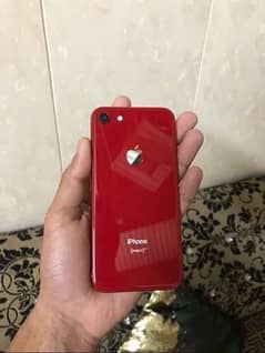 iPhone 8 pta approved