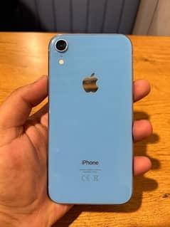 IPhone XR (up for sale)