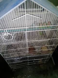 love birds and bajri cage 2 portion urgent sale