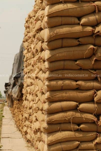 wheat for sale RS 4500 DELIVERY ONLY IN LAHORE 1