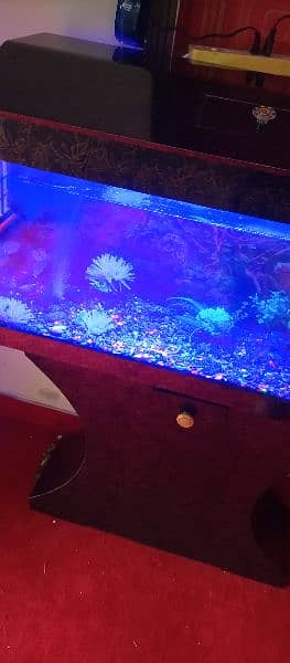 Fish Aquarium 2
