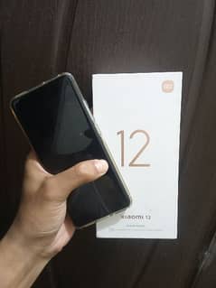 Xiaomi 12 official PTA 12/256
