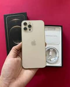 iphone 12 pro max complete box 256gb gold