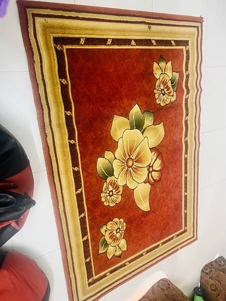 beautiful rug 2