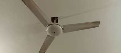 ceiling fans