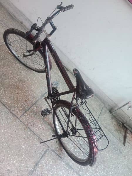 Bicycle 5