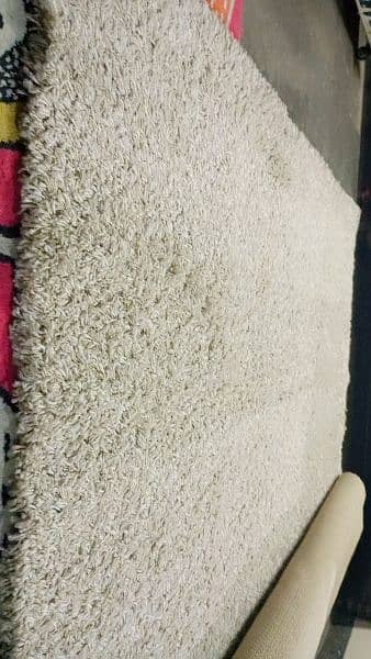shaggy carpet bilkul new condition 10/9 0