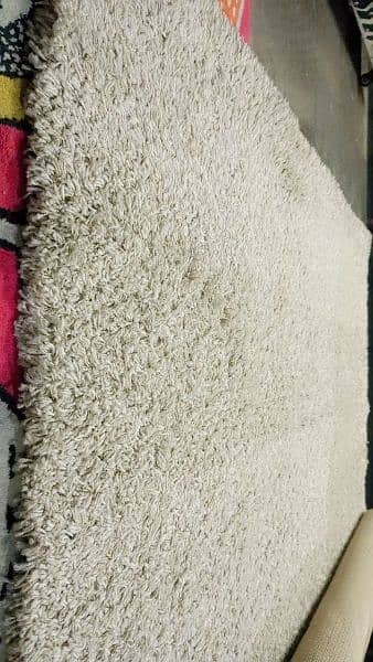 shaggy carpet bilkul new condition 10/9 1