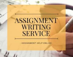 Professional Assignment Writter