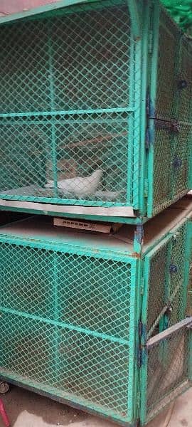 Birds Cage Solid Big Size 4 Portions 3
