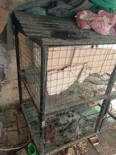 2 portion cage . in very reasonable price