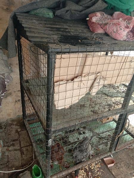 2 portion cage . in very reasonable price 0