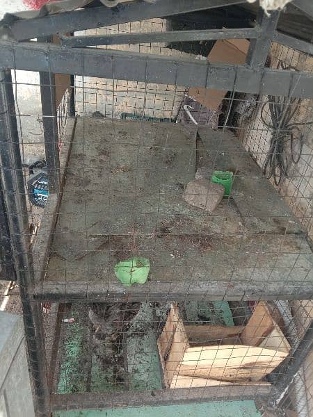 2 portion cage . in very reasonable price 2