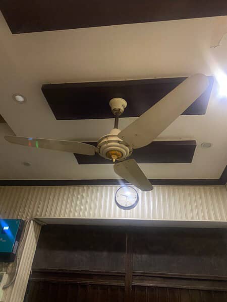 ceiling fan 1