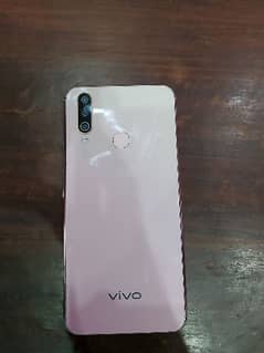 VIVO