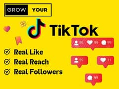 TikTok saler views like and Followers Bilkul Cheap prince
