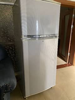 Waves fridge