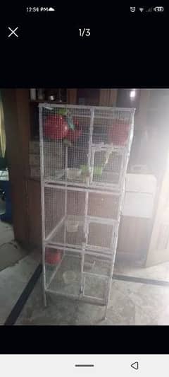 Birds Cage
