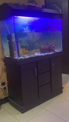 fish aqurium with 2 door cubet