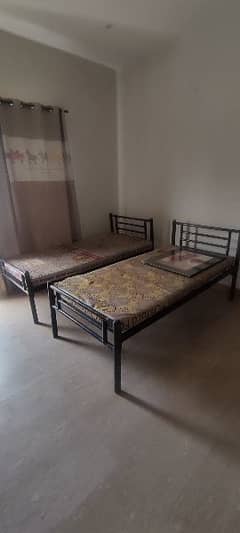 12 single iron bed with matress
