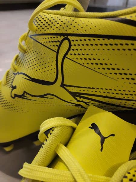 Football Shoes Puma Attacanto FG/AG 7