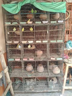 20 portion birds cage