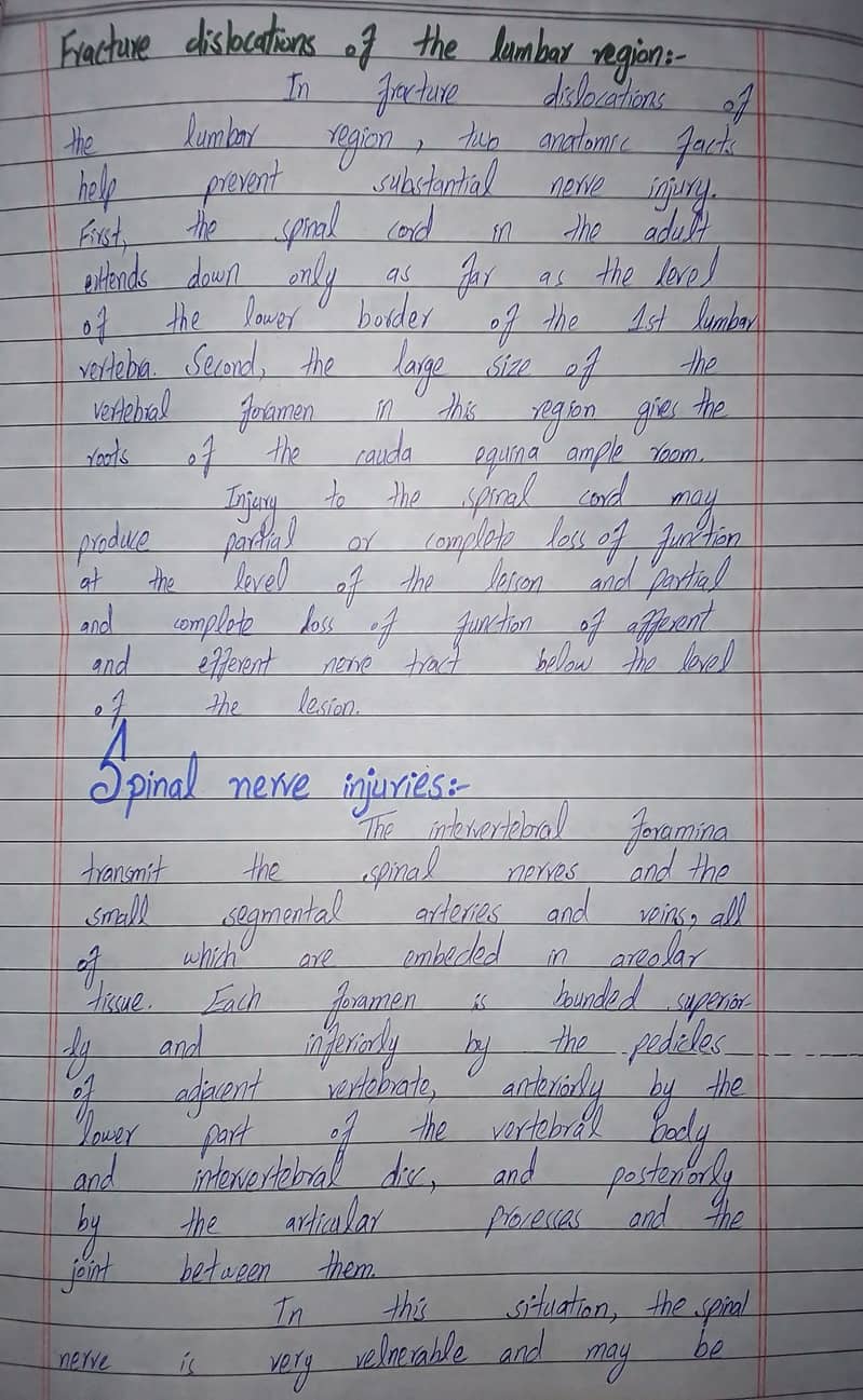 Hand writing assignment writer 3
