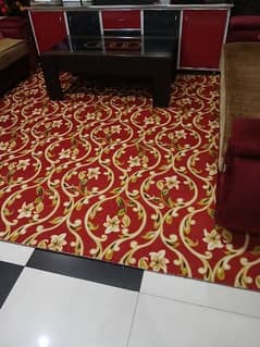 New Carpet for sale