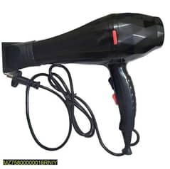 Professional Hair Dryer (Hot and Cold Air Setting)