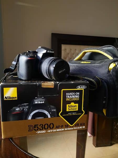 Nikon D5300, AF-P DX Nikkor 18-55 Kit lens 0