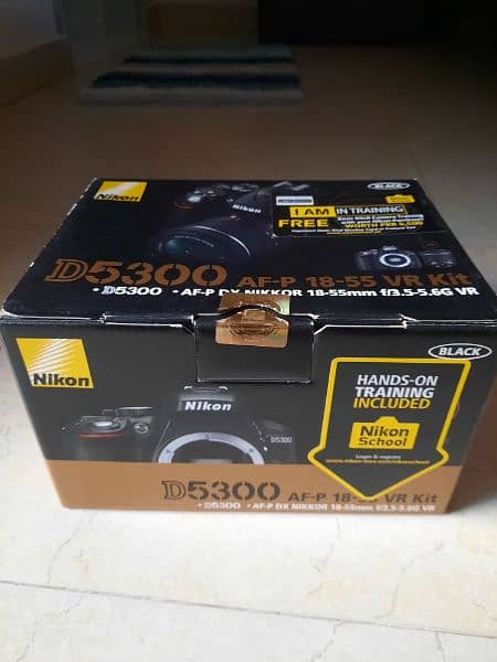 Nikon D5300, AF-P DX Nikkor 18-55 Kit lens 4