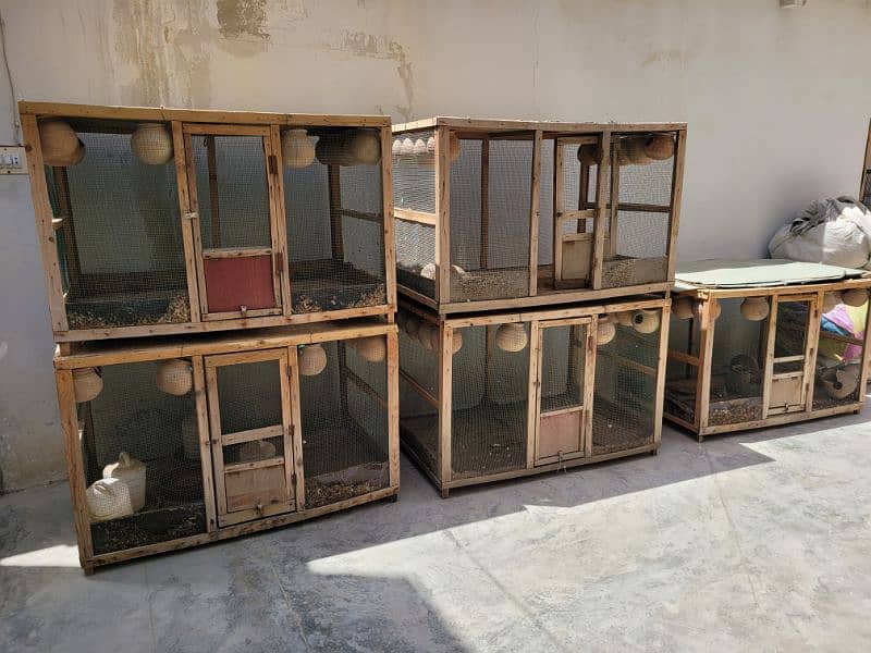 wood cages with free matkiyaa 2