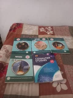 11 class books sarmaya urdu computer studies islamiyat english physics 0