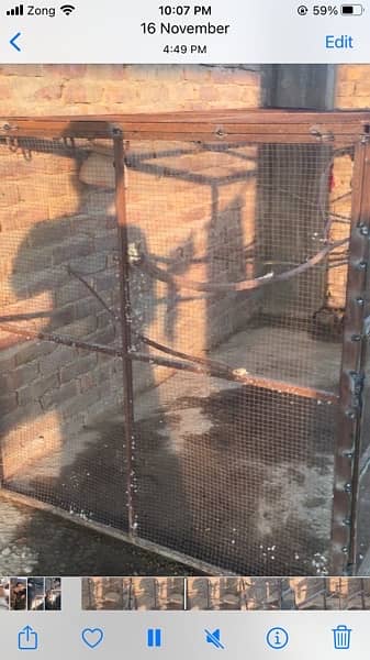 BIrds colony 3side iron cage with 16 handi for sale 1