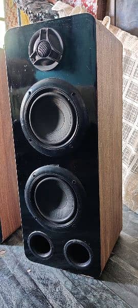 home bass speaker with amplifier 3