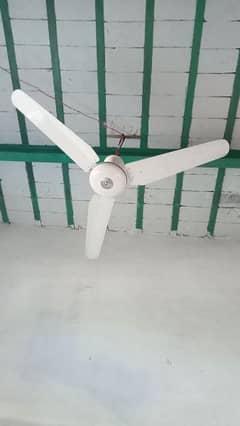 white fan perfect condition