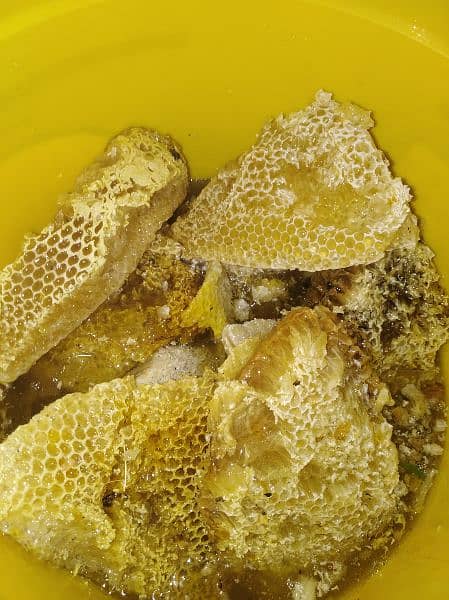 pure honey, khalis jangli shehad, bee wax (moom), bee pollen available 4
