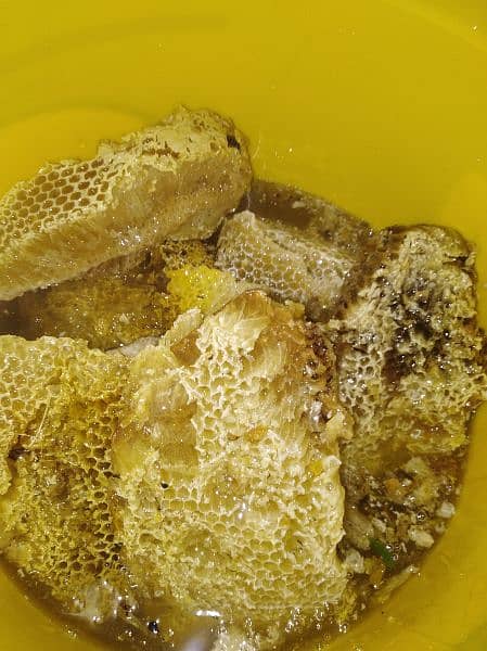 pure honey, khalis jangli shehad, bee wax (moom), bee pollen available 5