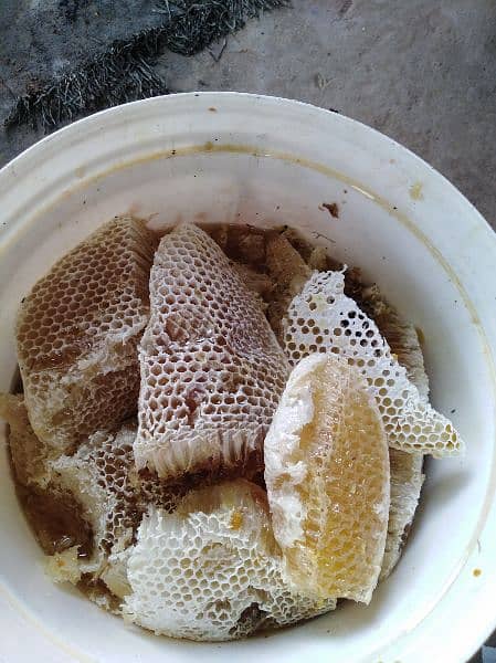 pure honey, khalis jangli shehad, bee wax (moom), bee pollen available 7
