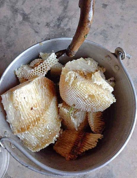 pure honey, خالص جنگلی شہد, khalis shehad, bee wax (موم), bee pollen 12