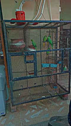heavy iron cage for sale argent