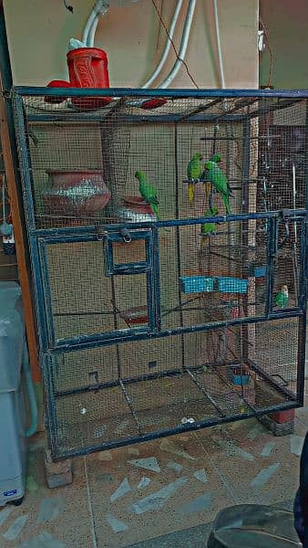 heavy iron cage for sale argent 0