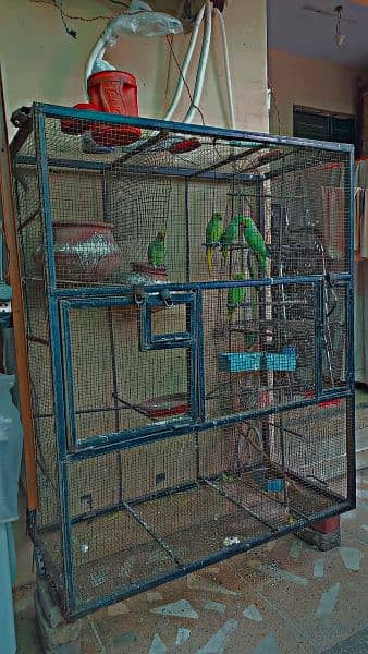 heavy iron cage for sale argent 1