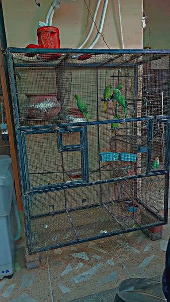 heavy iron cage for sale argent 2