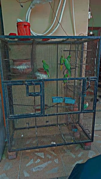 heavy iron cage for sale argent 3