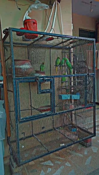 heavy iron cage for sale argent 4